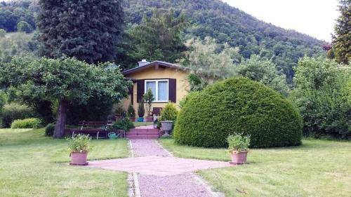 foto2