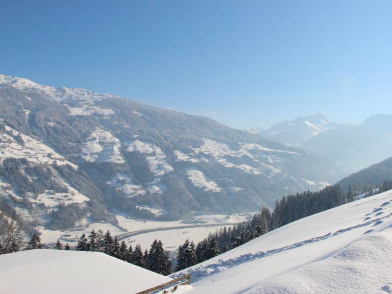 foto12