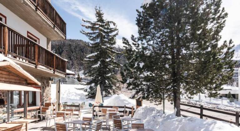 CHALET DES ALPES — photo 4