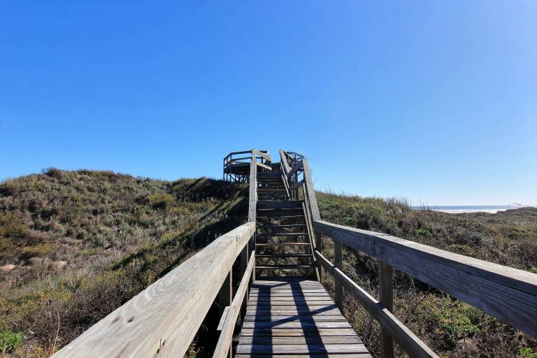 PP604-Shamrock by the Sea — photo 2