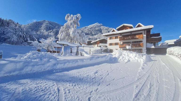 Ferienwohnung Montafon