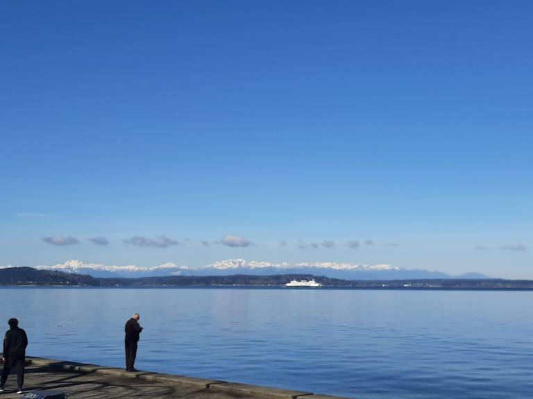 House Alki
