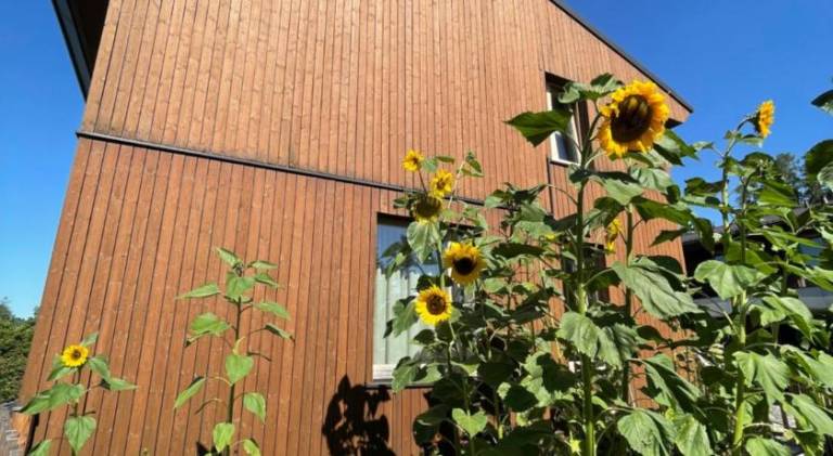 60 m&sup2; Ferienwohnung