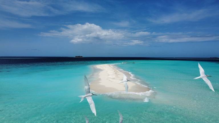 Alloggio Kihaadhoo