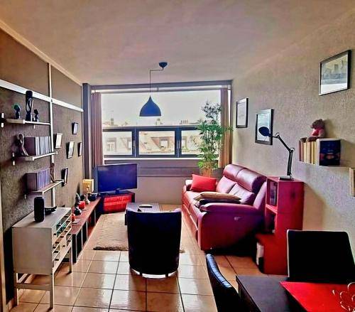 Apartment Coulouvreniere Rois