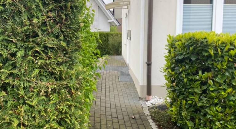 Apartment | Good for workation | Dogs allowed — photo 4