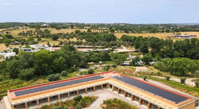 foto41