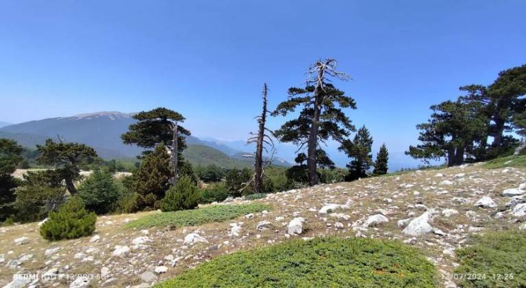 foto6