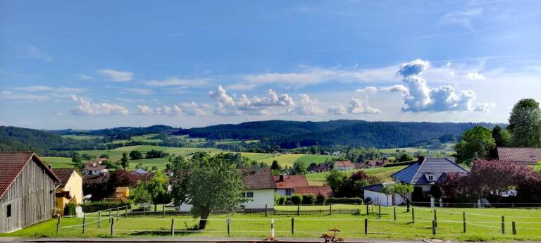foto12