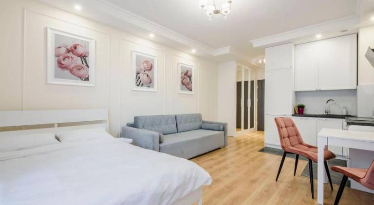 Charming rental apartment | Pets are welcome in Lódz