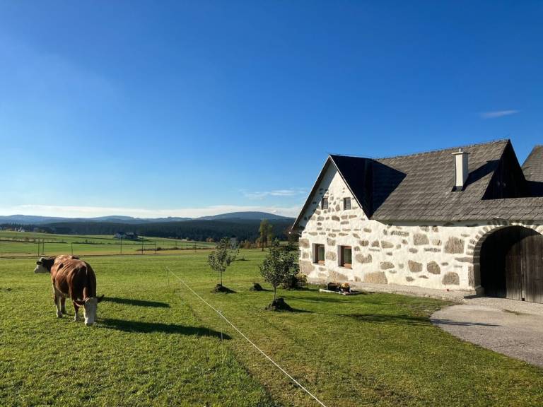 Dům  Pohorská Ves