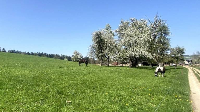 Ferienwohnung Meßkirch