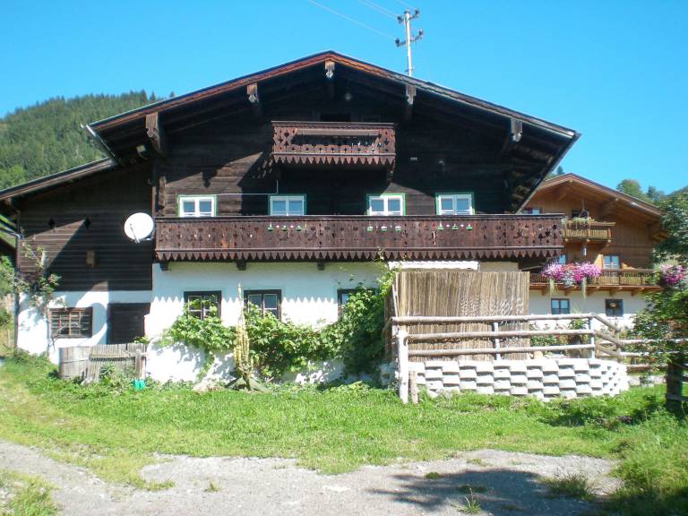 foto1