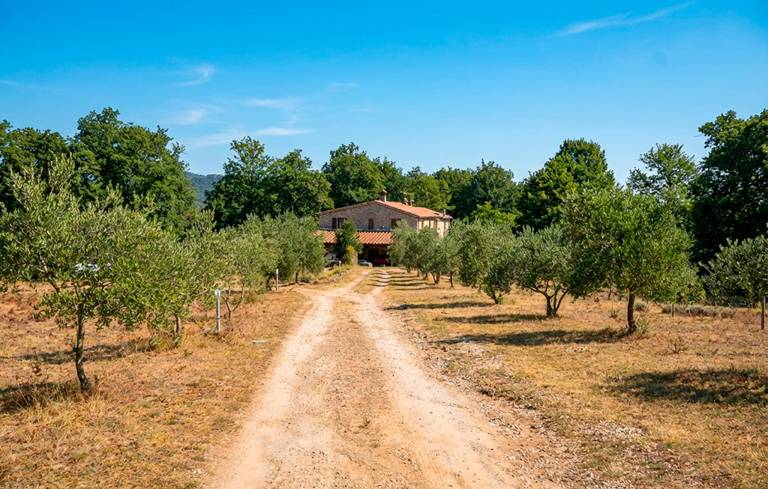 Ferienwohnung in Massa Marittima, Boccheggiano f&uuml;r max. 5 Personen