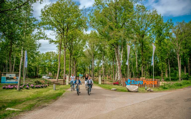 foto12