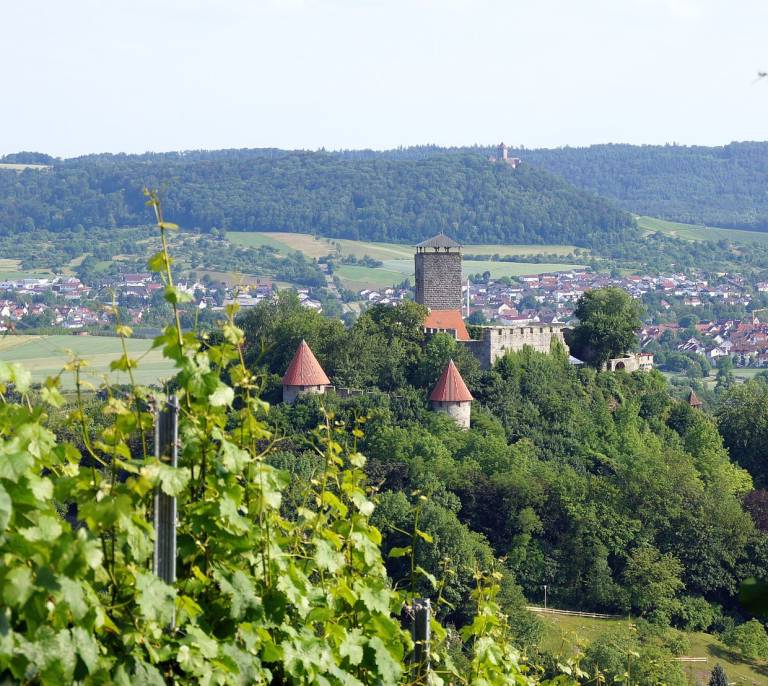 foto10