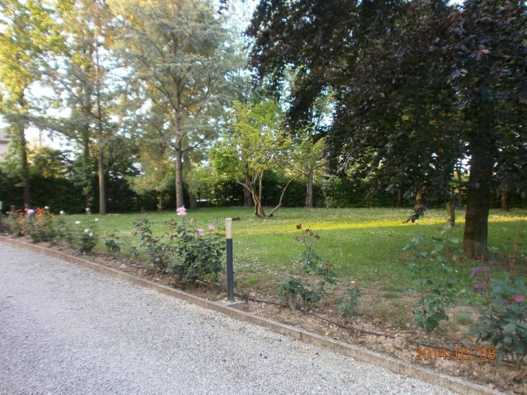 foto11