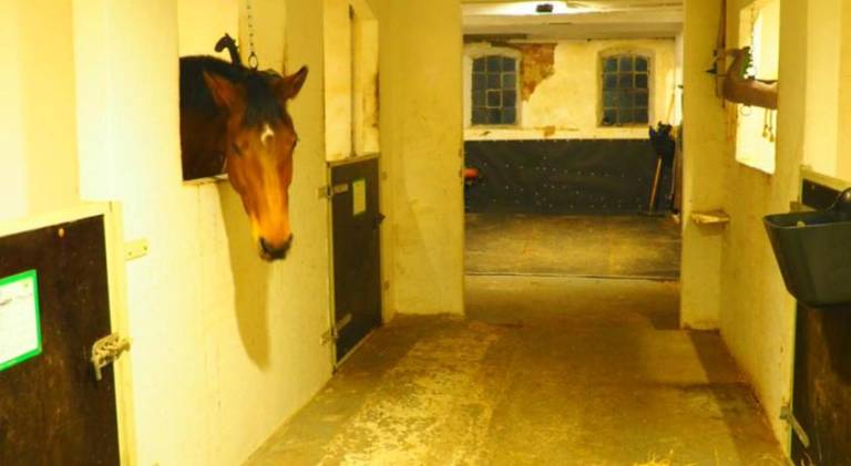 Skadshof wo Leistung auf Leidenschaft trifft — photo 5