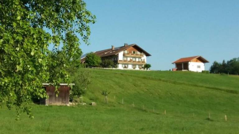 foto1