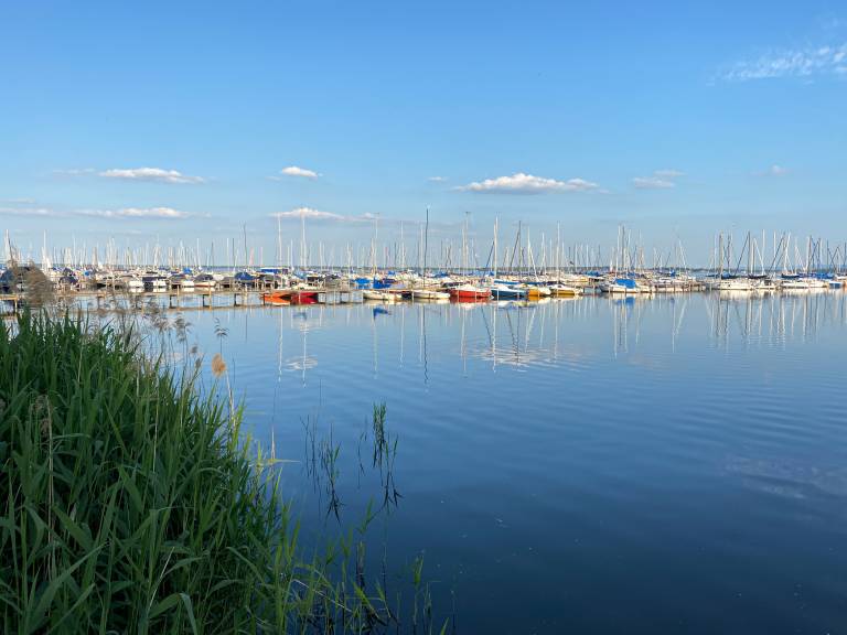 foto7