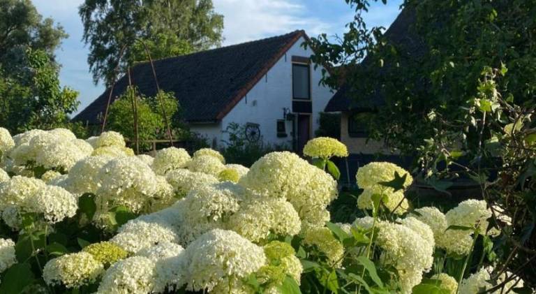 foto25