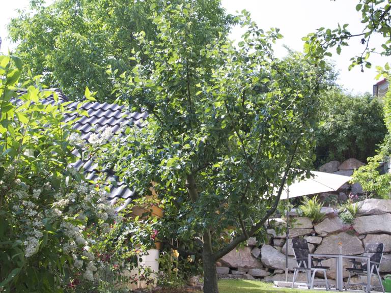 Holiday apartment with 1 room for 2 persons — photo 2