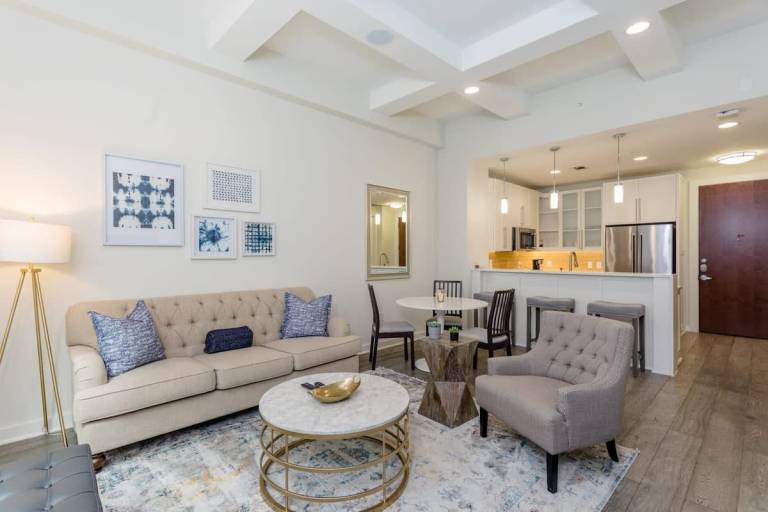 Constellations Elegant 1 BR in Downtown Houston