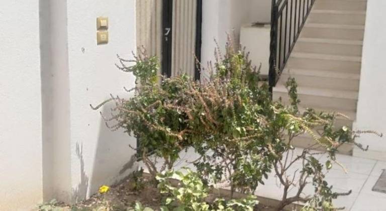 Holiday apartment | Near Medinet Habu — photo 5