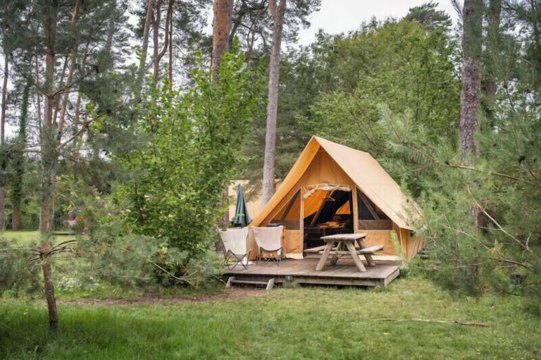 Camping Rambouillet