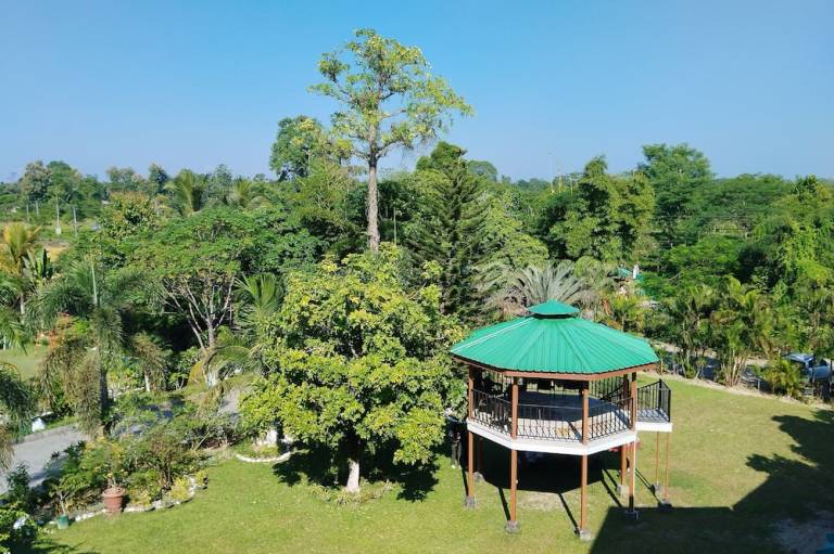 foto11