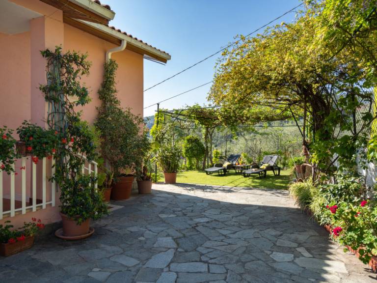 foto12