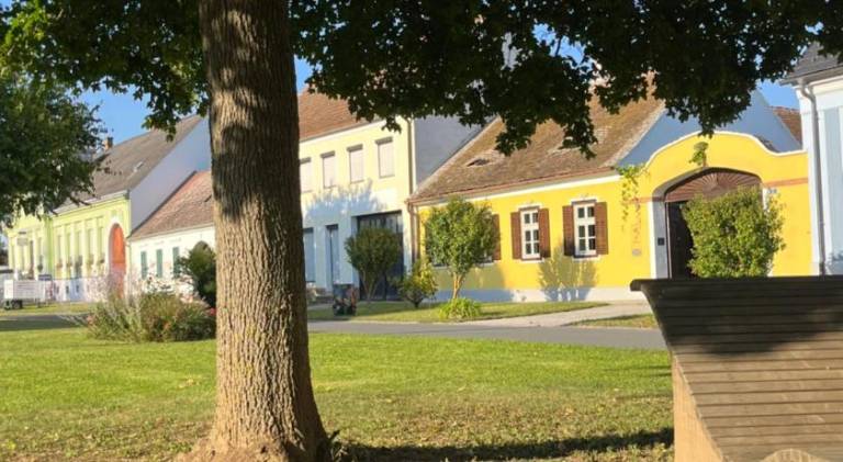 foto16