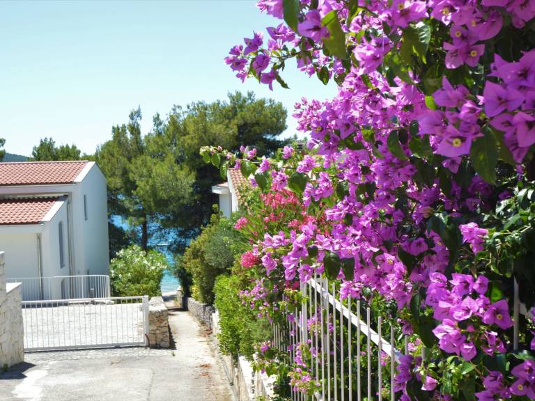 Holiday apartment with grill, yard & terrace — photo 2