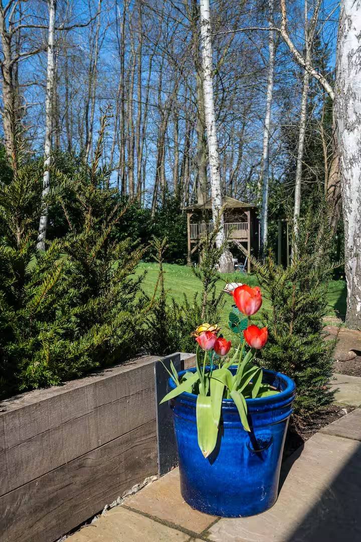 foto25