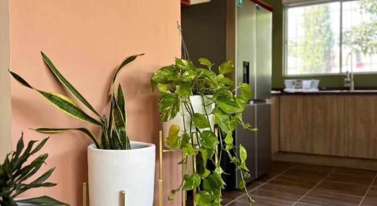 Pleasant apartment | Pets are welcome — photo 2