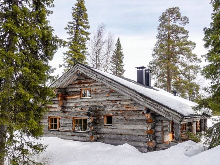 Vacation home with sauna — photo 5