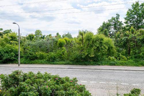 Apartament Stary Żoliborz