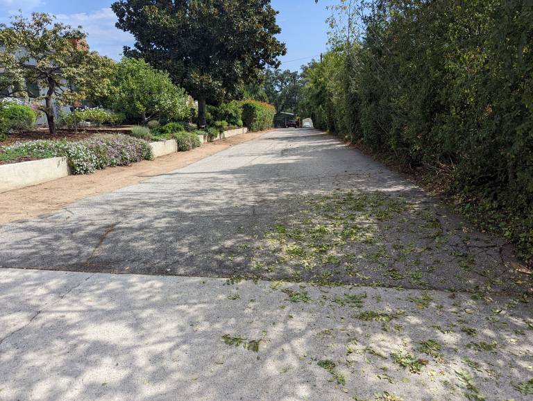 Feriehytte Altadena