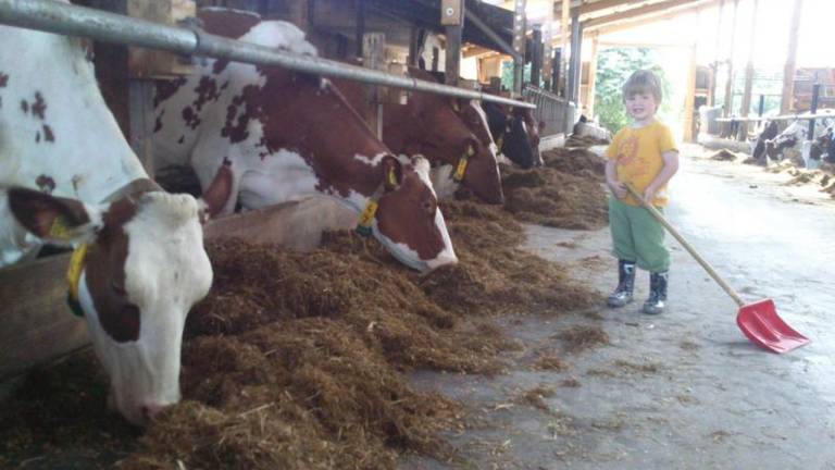 Ferienhaus  Albersdorf