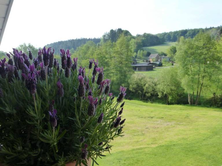 foto34