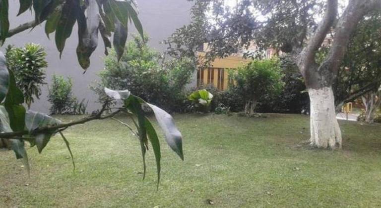 foto41