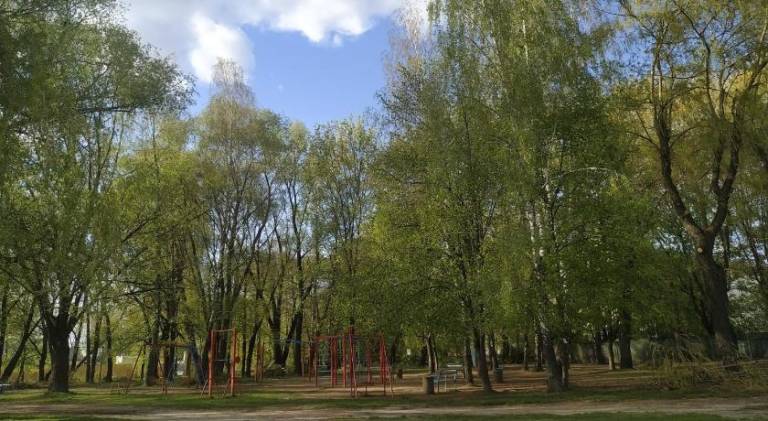 foto6