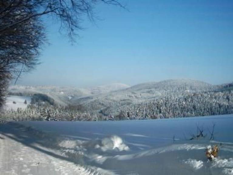 foto14