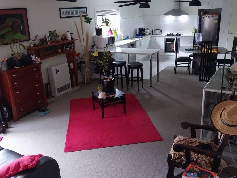 foto20