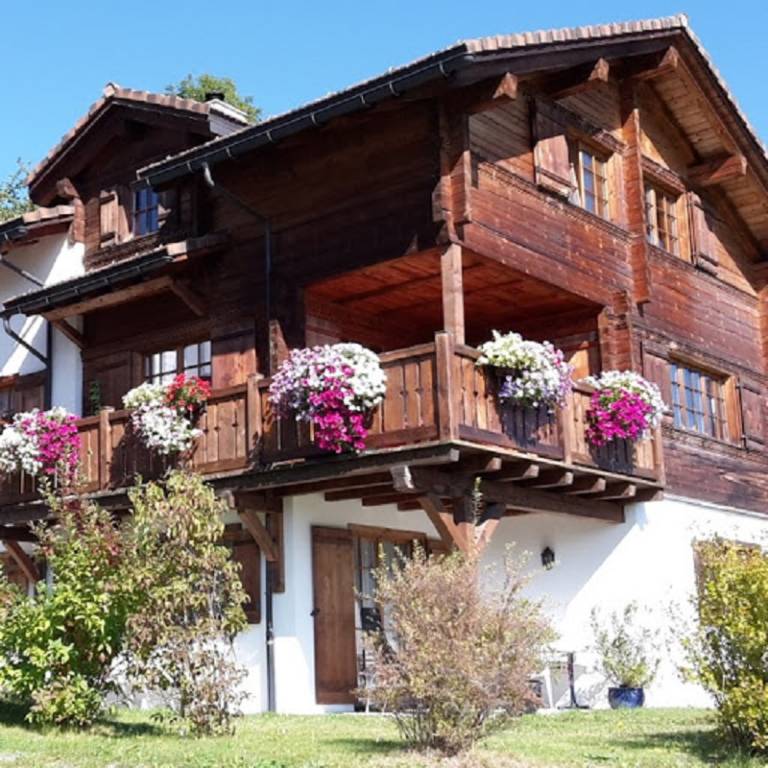 foto1