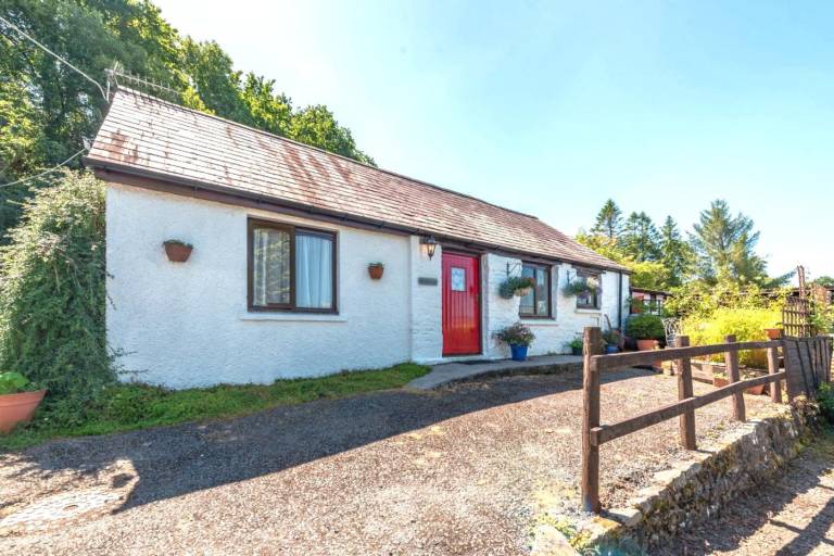 Beautiful cottage | Pets are welcome in Carmarthen