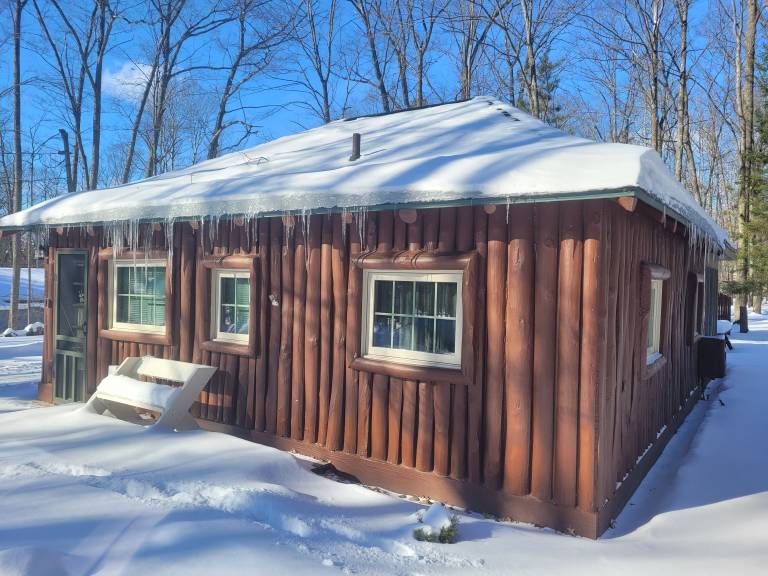 Cabin Higgins Lake
