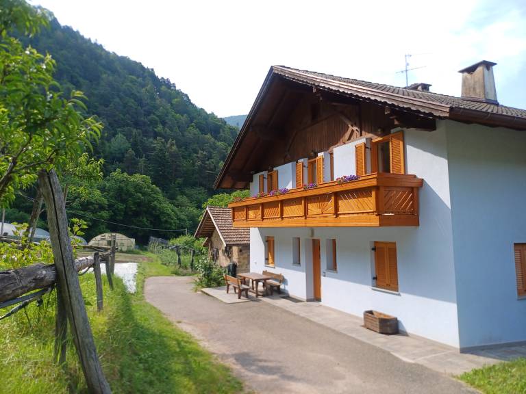 foto17