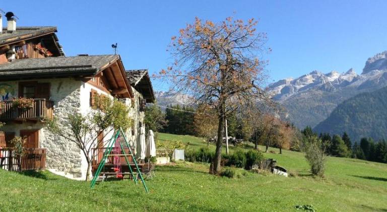 Apartment with 1 room for 4 persons in Pinzolo
