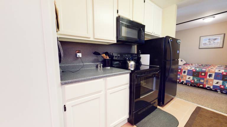 Condo with hot tub, patio & sauna — photo 3